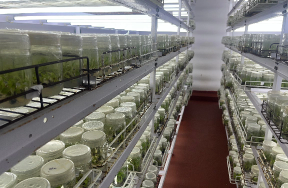 Marketing in Nursery